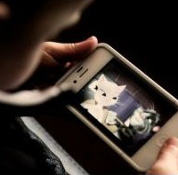 OBRAZEK